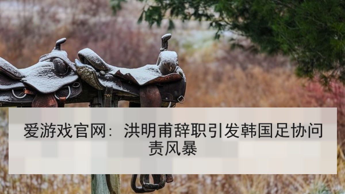 爱游戏官网: 洪明甫辞职引发韩国足协问责风暴