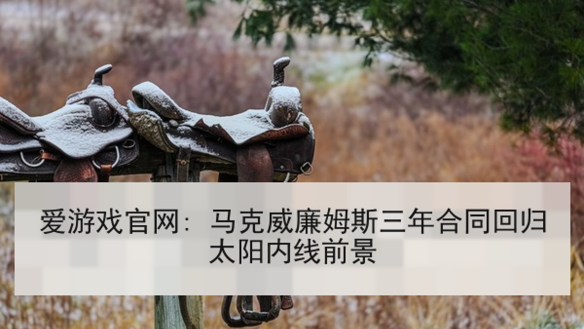 爱游戏官网: 马克威廉姆斯三年合同回归太阳内线前景