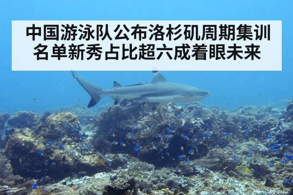 中国游泳队公布洛杉矶周期集训名单新秀占比超六成着眼未来